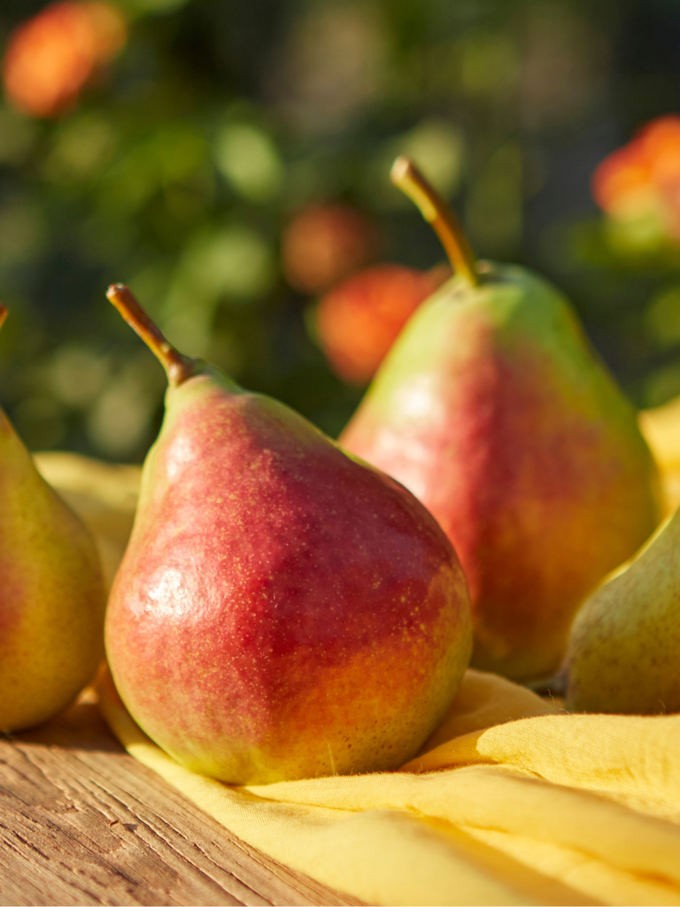 9 Frutas Que Você Deveria Comer Se Está Com Diabetes Descontrolada em Belo Horizonte – MG