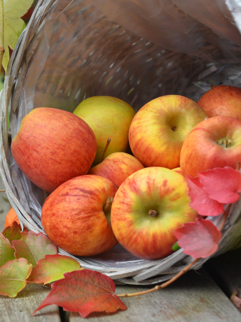 9 Frutas Que Você Deveria Comer Se Deseja Controlar Diabetes em Salvador – BA